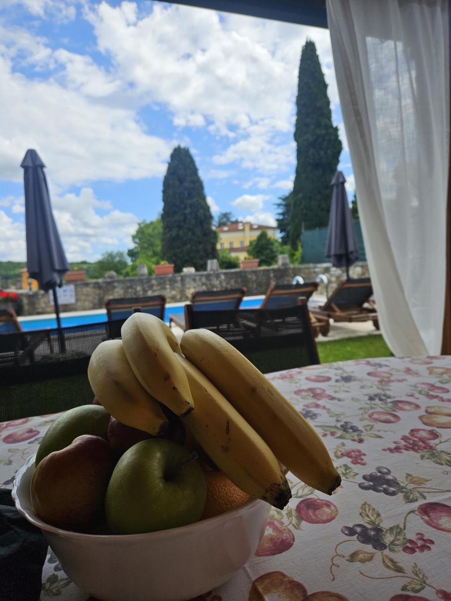 Villa Letizia Oprtalj Esterno foto