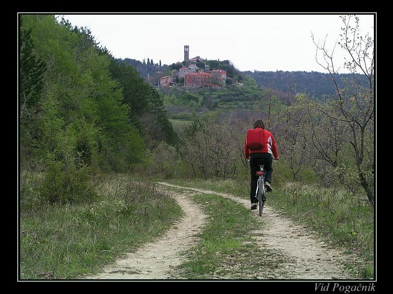 Villa Letizia Oprtalj Camera foto